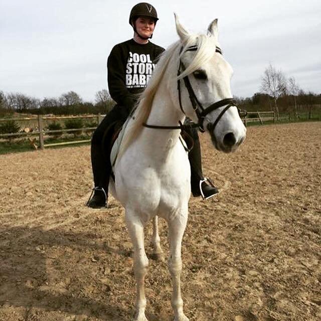 Shagya Araber (SH) Bounty billede 3