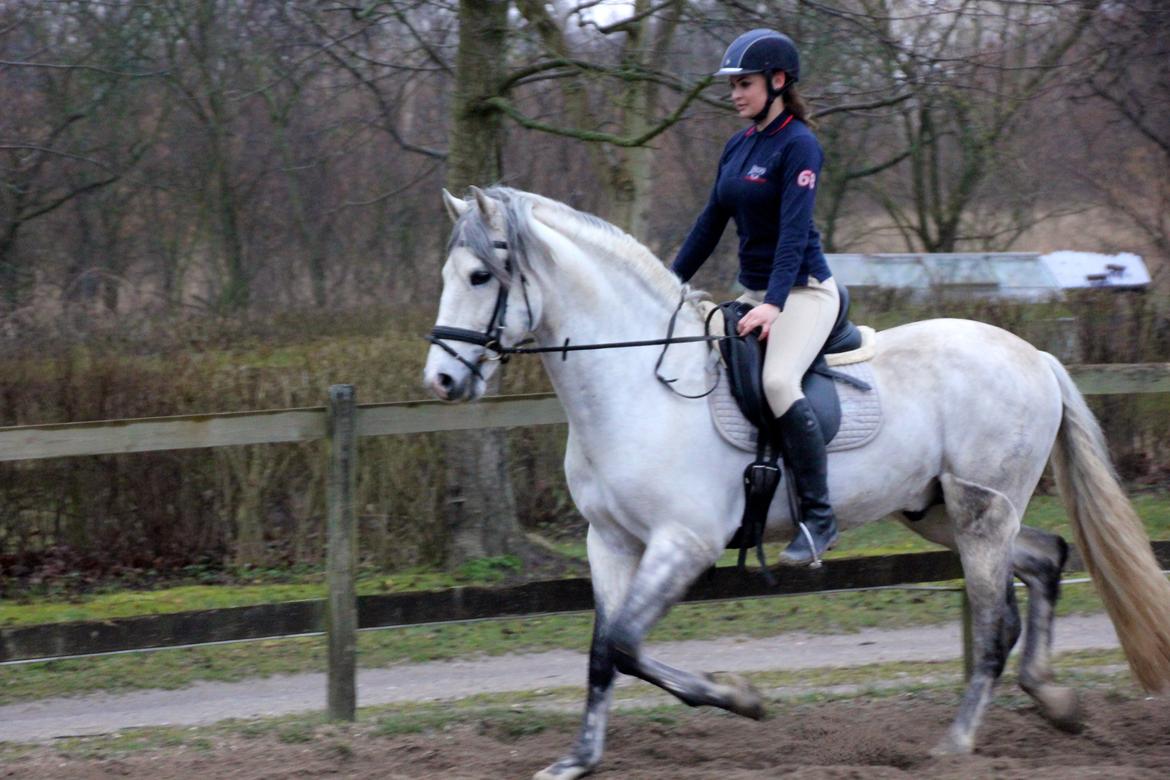 Pura Raza Española Urbano XVIII billede 14