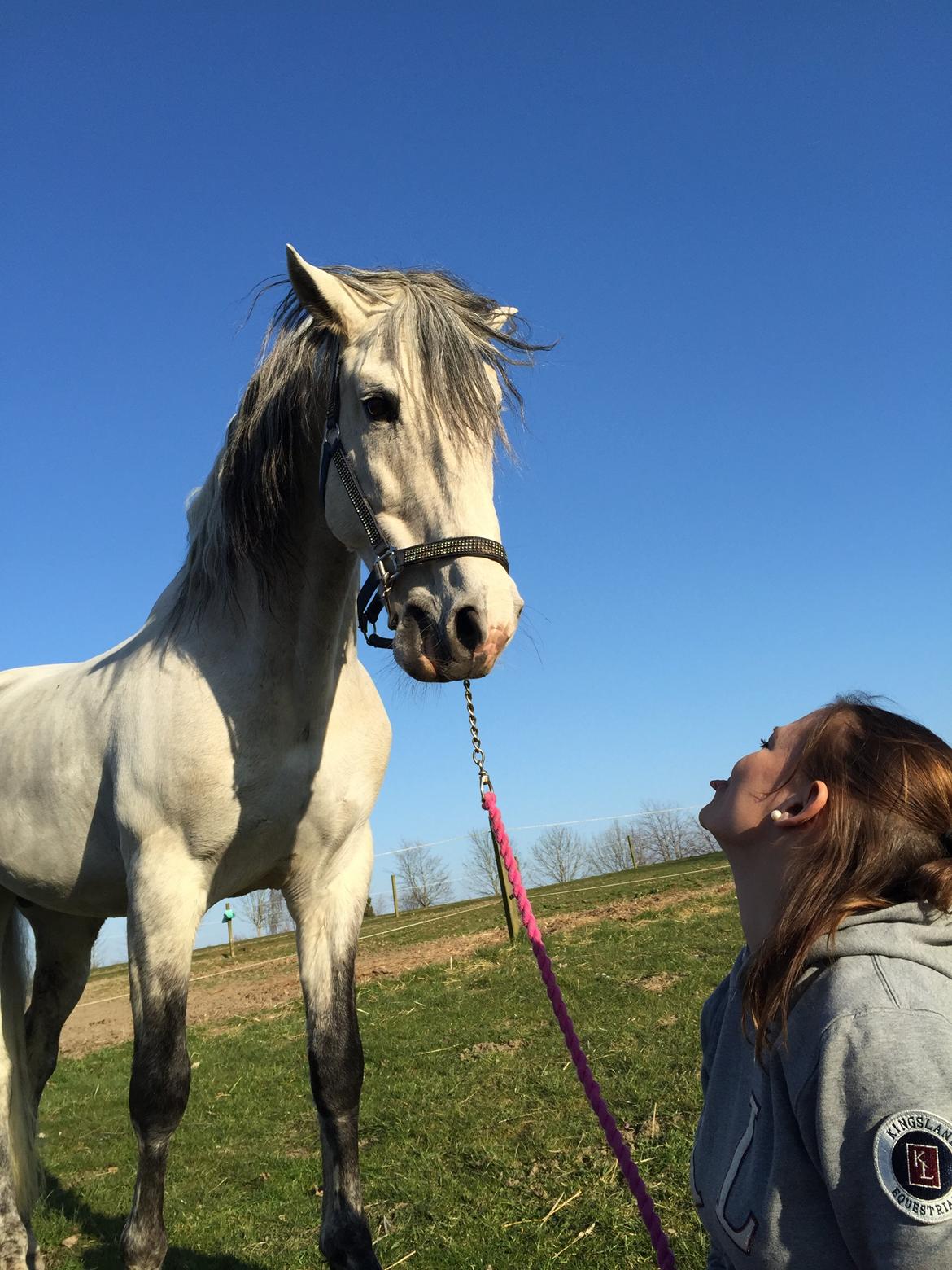 Pura Raza Española Urbano XVIII billede 15