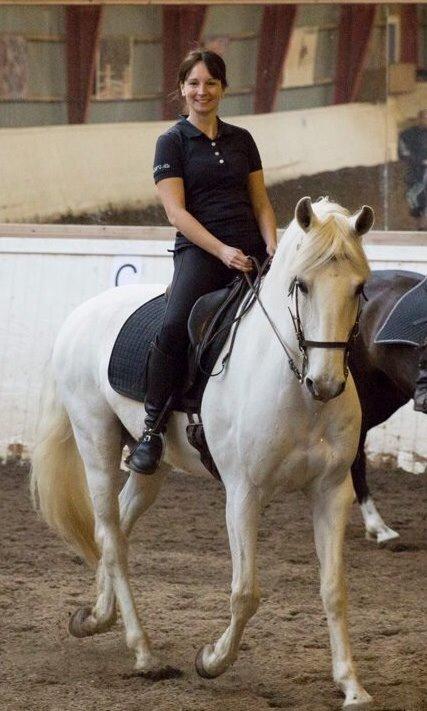 Lusitano Zapatero (spa) billede 40