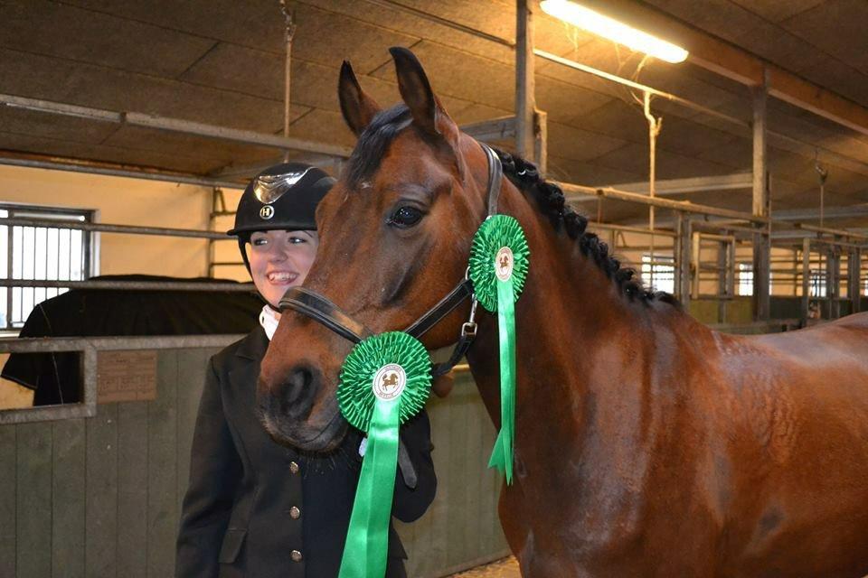 Anden særlig race Balcarno Star billede 17