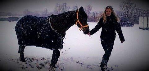 Anden særlig race Balcarno Star - Nogle måneder efter jeg fik ham <3 billede 20
