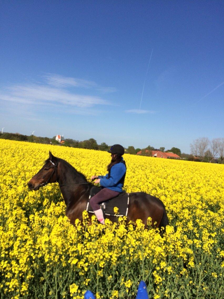 Traver Leroy Hall billede 30