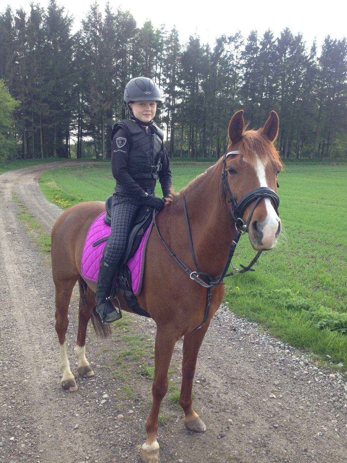 Tysk Sportspony Heidi (Duchesse) - Skov tur jaaaa! billede 12