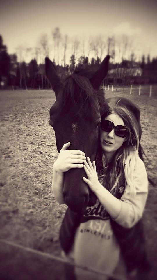 Dansk Varmblod Holmevangs Tess billede 16