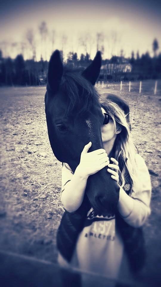 Dansk Varmblod Holmevangs Tess billede 17