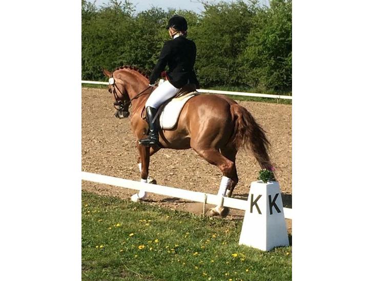 {{currentPhoto.altText}} billede {{currentPhoto.number}}