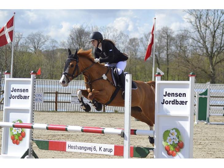 {{currentPhoto.altText}} billede {{currentPhoto.number}}