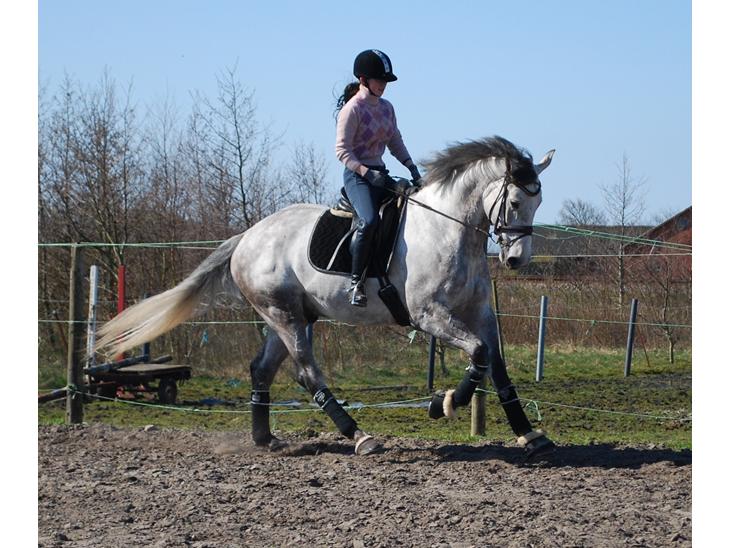 {{currentPhoto.altText}} billede {{currentPhoto.number}}