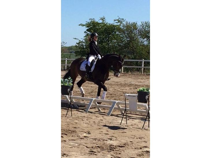 {{currentPhoto.altText}} billede {{currentPhoto.number}}