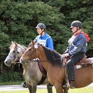 Anden særlig race Taru
