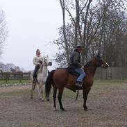 Anden særlig race Taru