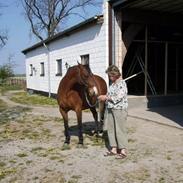 Anden særlig race Taru