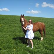 Anden særlig race Tarzan 