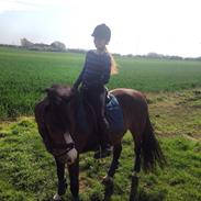 DSP Bæklunds Laredo