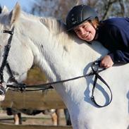 Knabstrupper Meislings Gaston