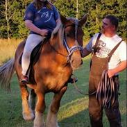 Jyde Virkelyst Frede