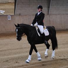 Oldenborg Bakkegårdens bari