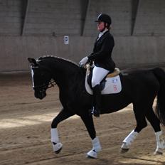 Oldenborg Bakkegårdens bari
