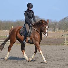 Anden særlig race Storm