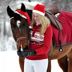 Tysk Varmblod Pajero