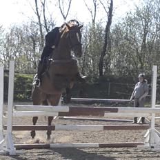 Fuldblod (XX) Red lightning xx (den)