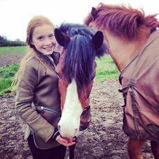 DSP Bæklunds Laredo