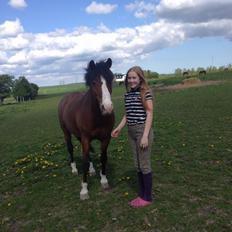 DSP Bæklunds Laredo