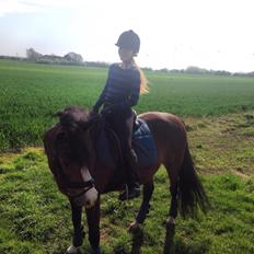 DSP Bæklunds Laredo