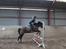 New Forest Equile's Maurita - Mau er rigtig sej til at springe! :)