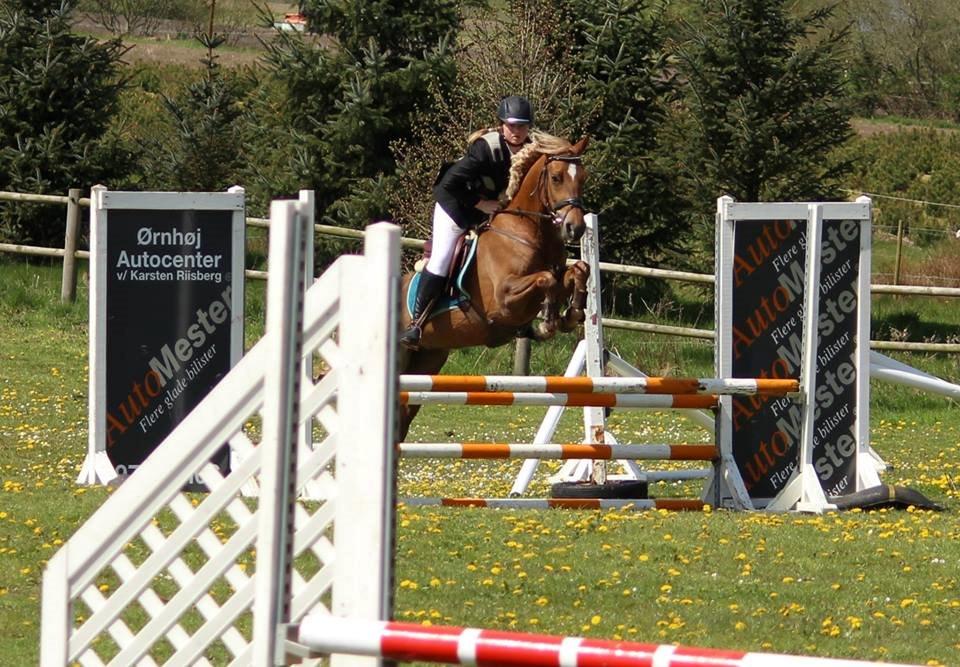 DSP Sunspot billede 42