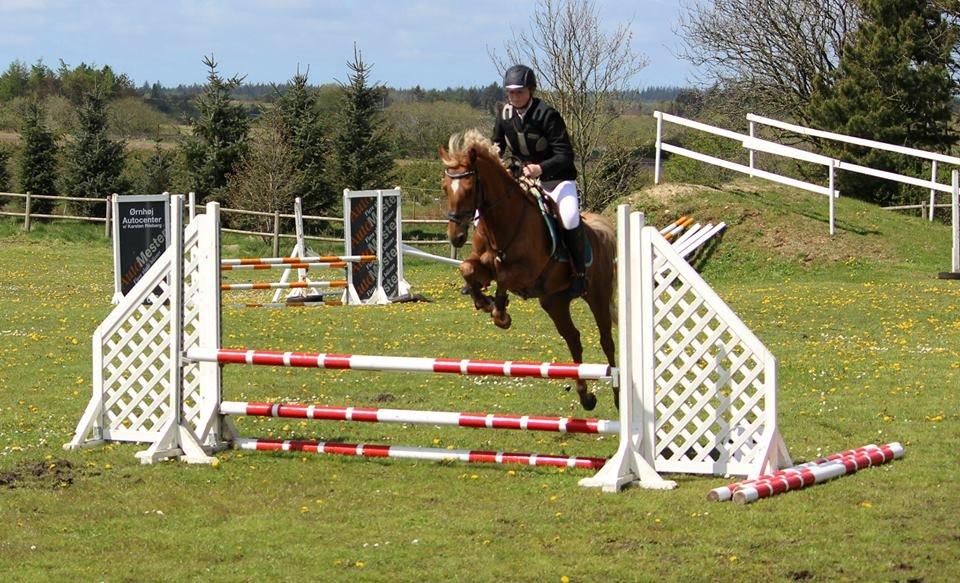 DSP Sunspot billede 43