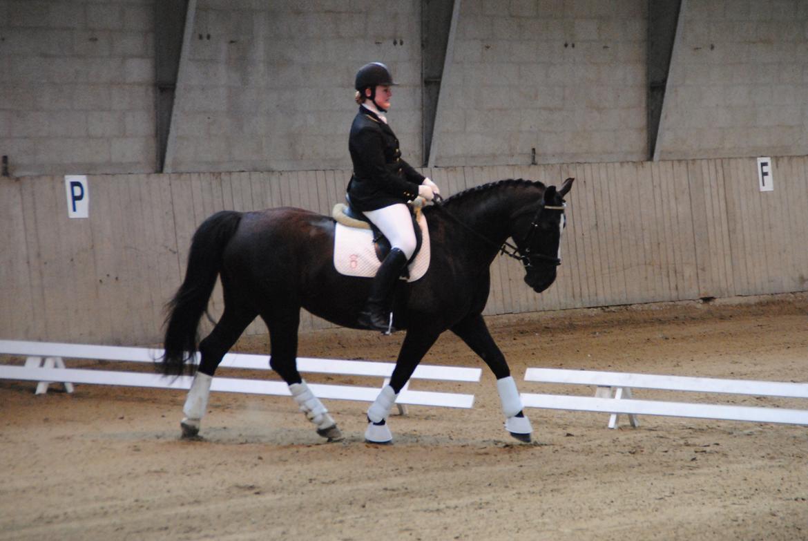 Oldenborg Bakkegårdens bari billede 1