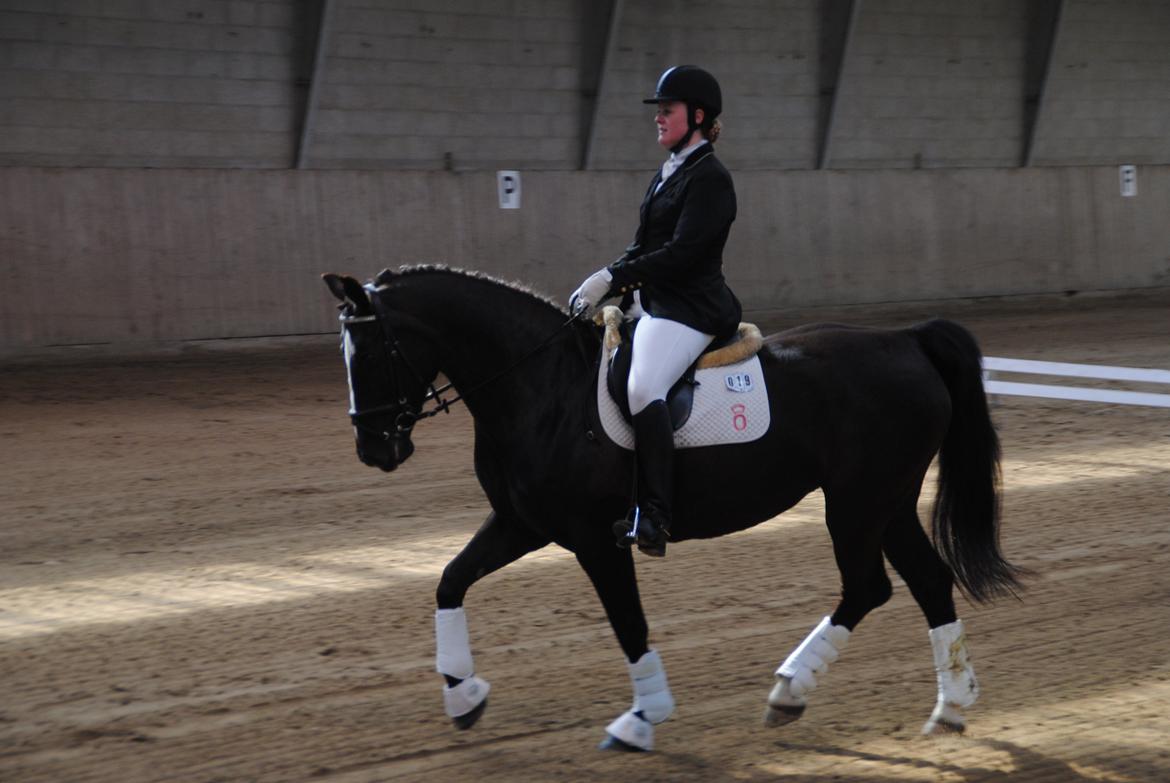 Oldenborg Bakkegårdens bari billede 3