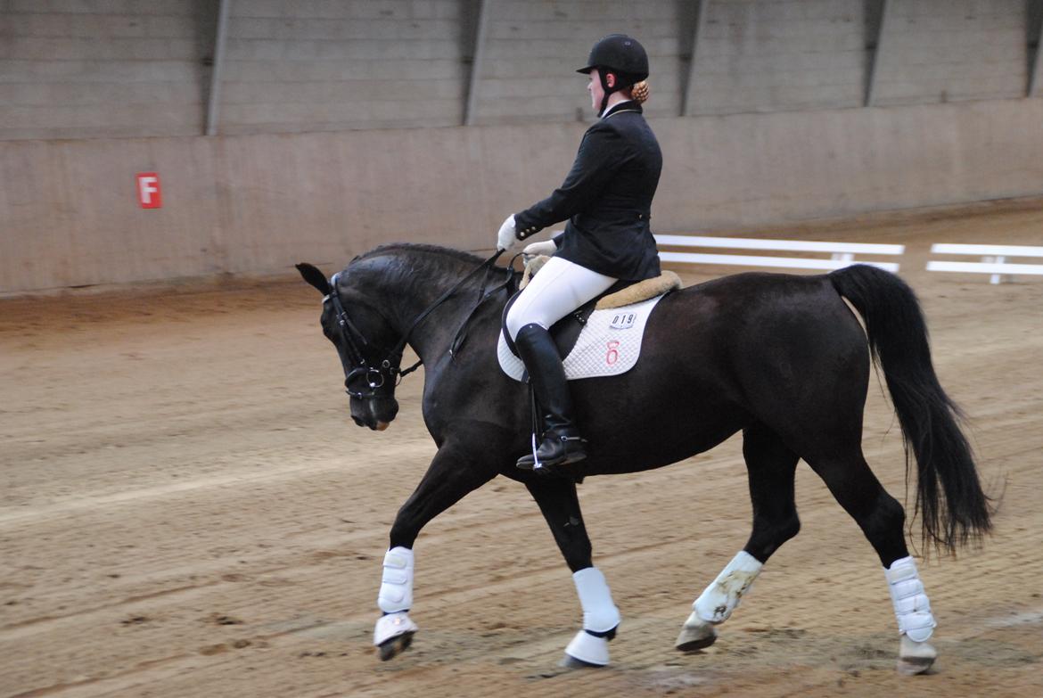 Oldenborg Bakkegårdens bari billede 4