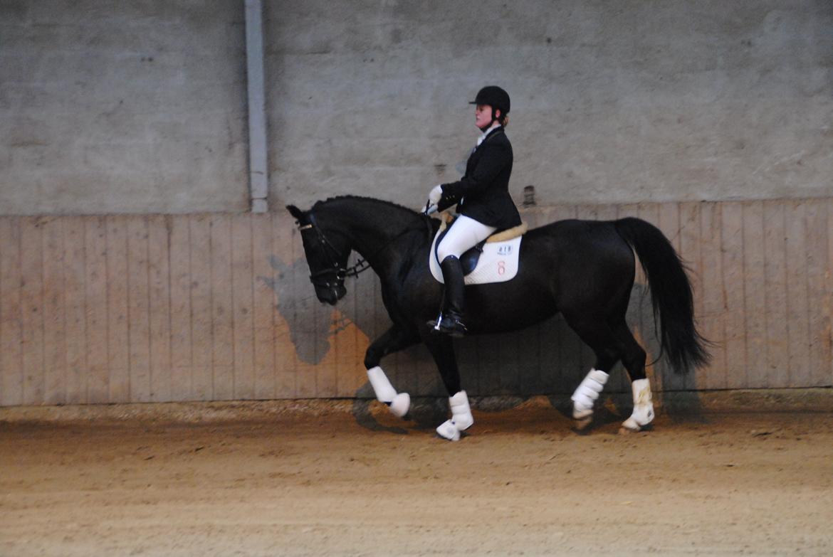 Oldenborg Bakkegårdens bari billede 5