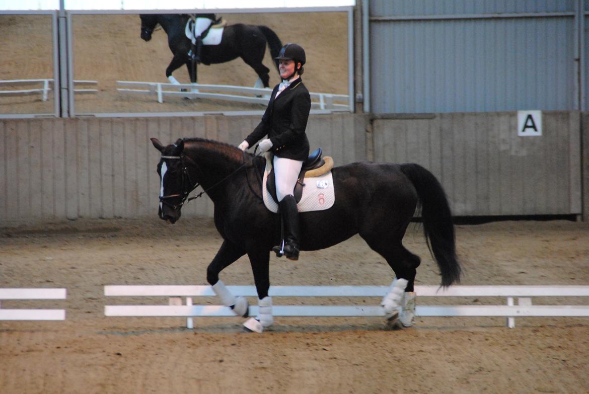 Oldenborg Bakkegårdens bari billede 7