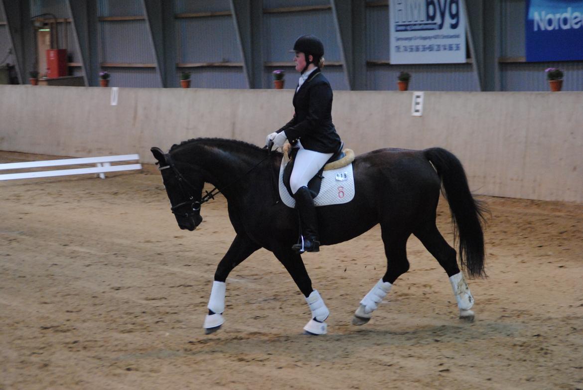 Oldenborg Bakkegårdens bari billede 8