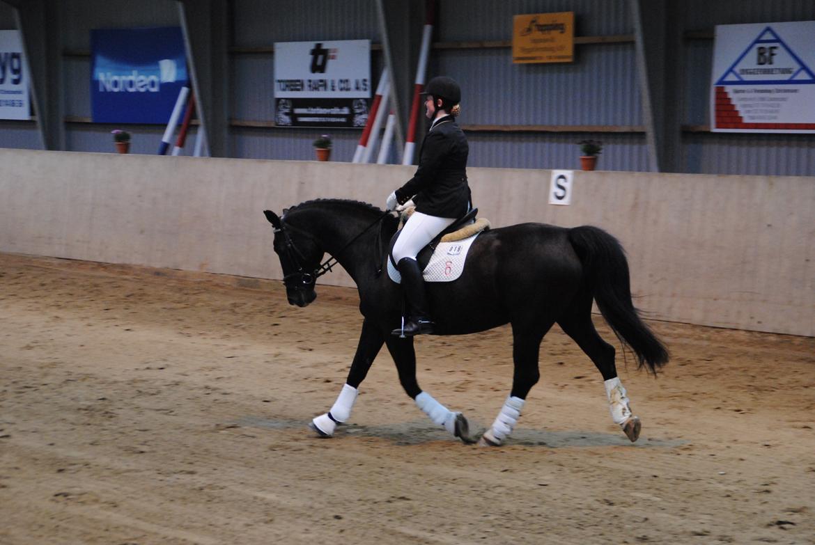 Oldenborg Bakkegårdens bari billede 13
