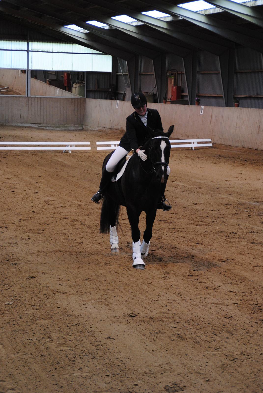 Oldenborg Bakkegårdens bari billede 14