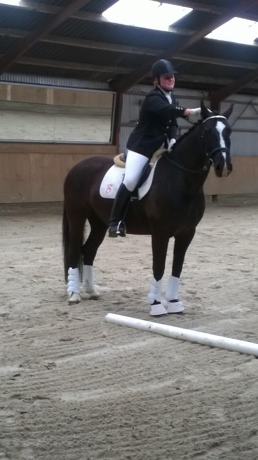 Oldenborg Bakkegårdens bari billede 16