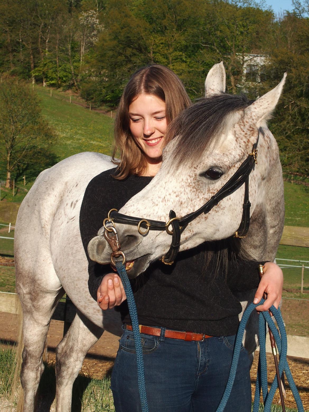 Arabisk fuldblod (OX) Kamal Al Hayat - Søde muggert <3 Maj 2015 billede 1