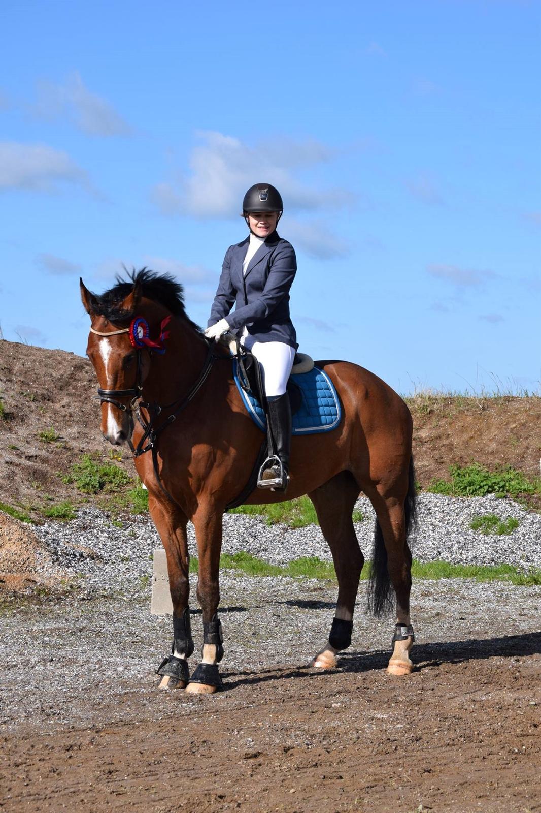 Dansk Varmblod HOLMGÅRDS QUILET billede 5