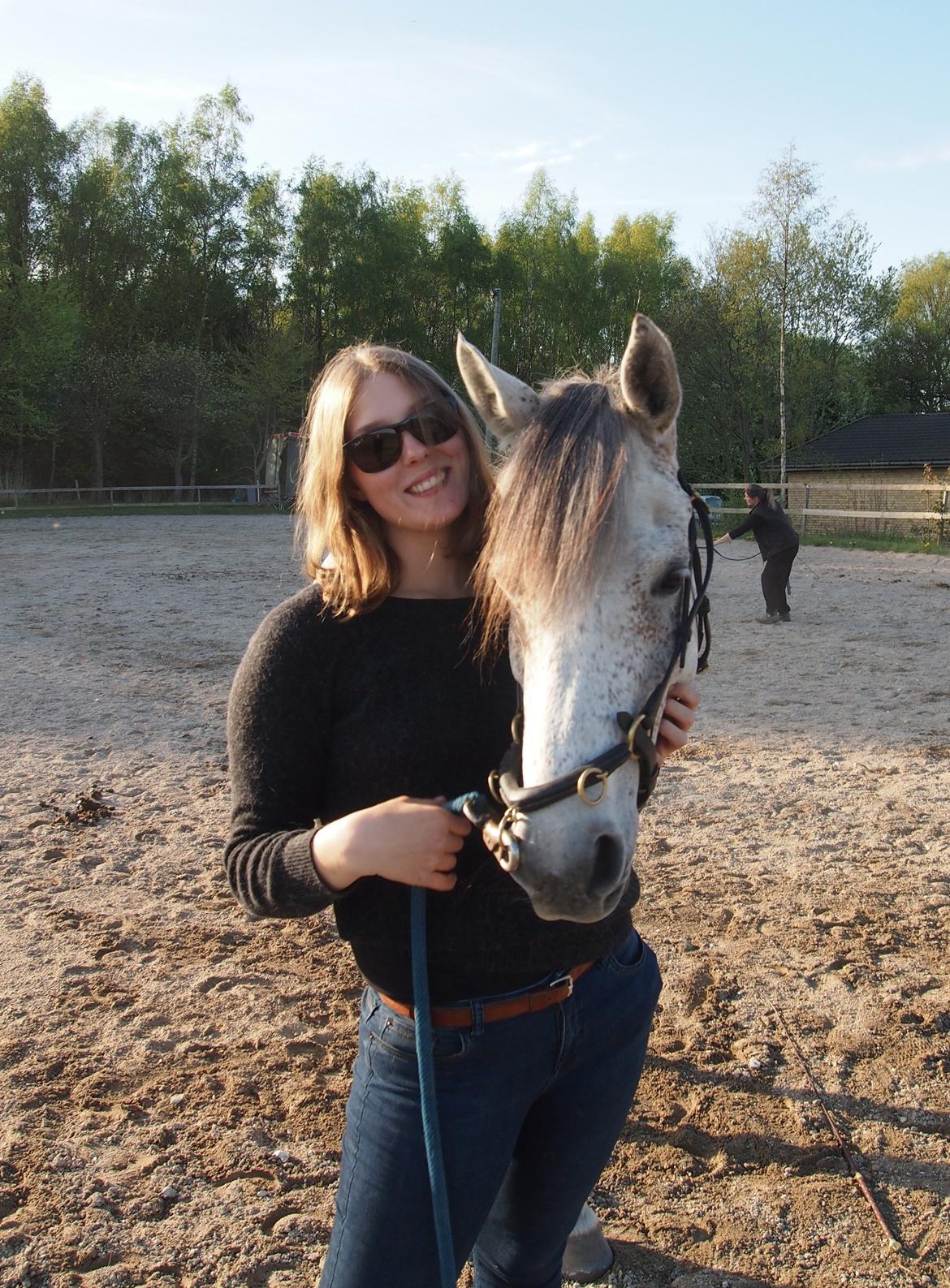 Arabisk fuldblod (OX) Kamal Al Hayat - Kamelen har mistet sin krop ;) Maj 2015 billede 13