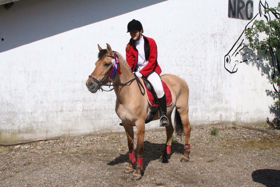 Anden særlig race Sally - Vores første springstævne<3 billede 11