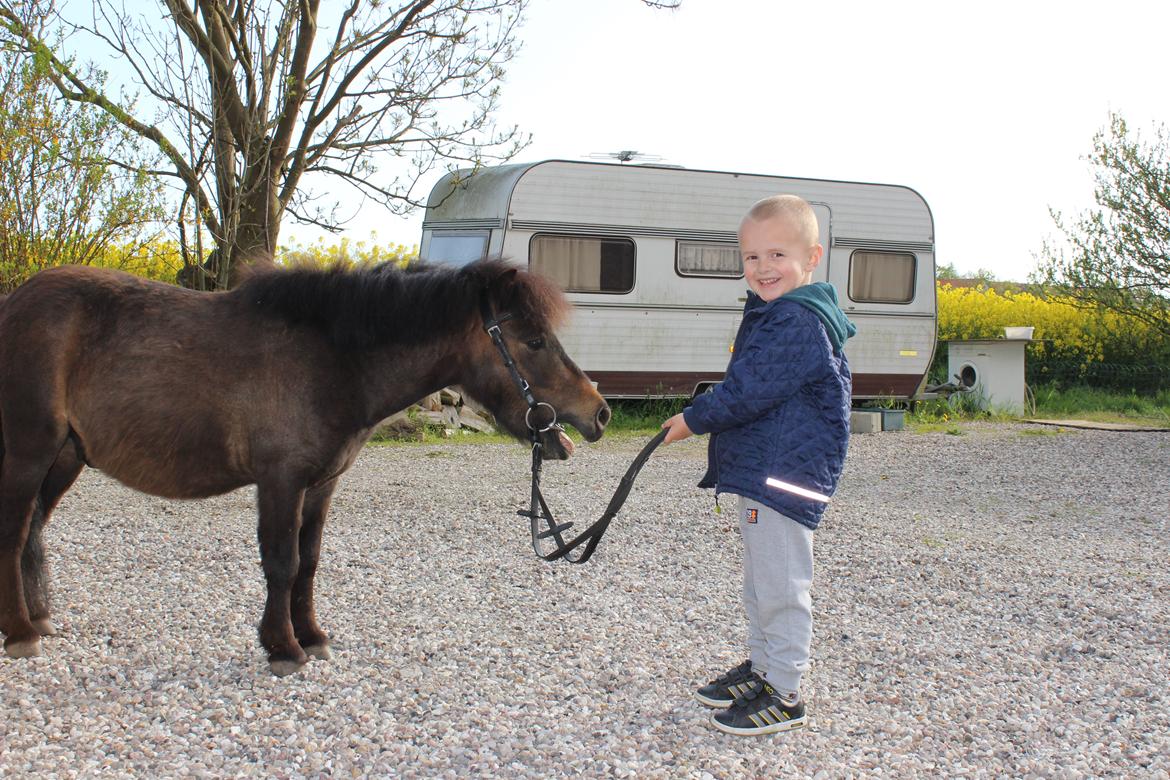 Anden særlig race Tobisen - D 14/05-15 Ja gæt hvis pony han er.. :D billede 4