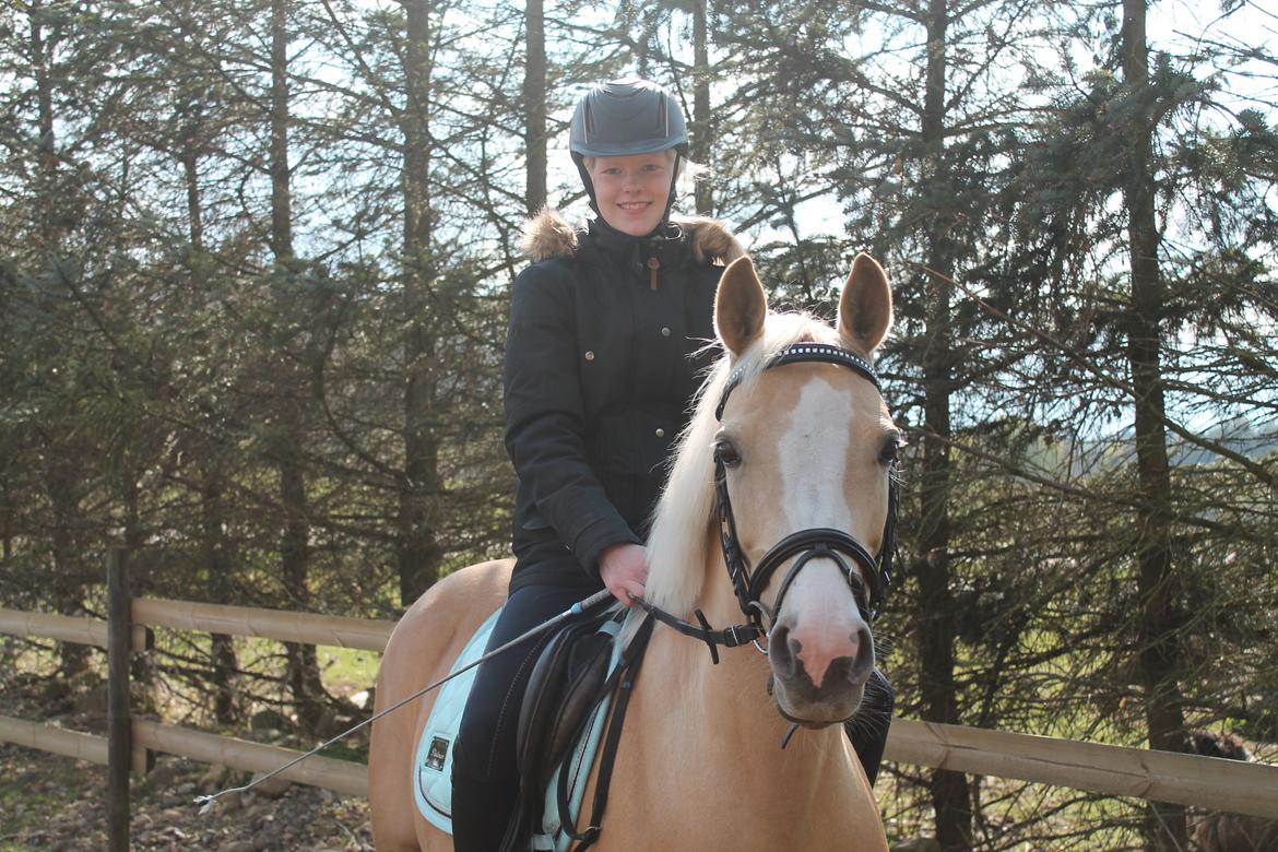 Anden særlig race FREDENS SHEER SILK - Dressurtræning <3 billede 10