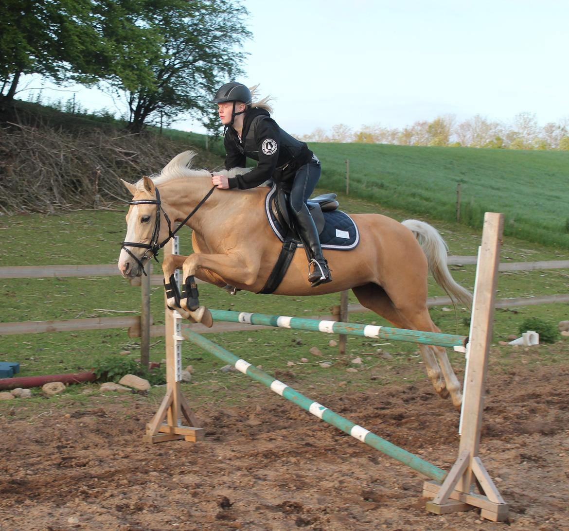 Anden særlig race FREDENS SHEER SILK - Springtræning <3 billede 11