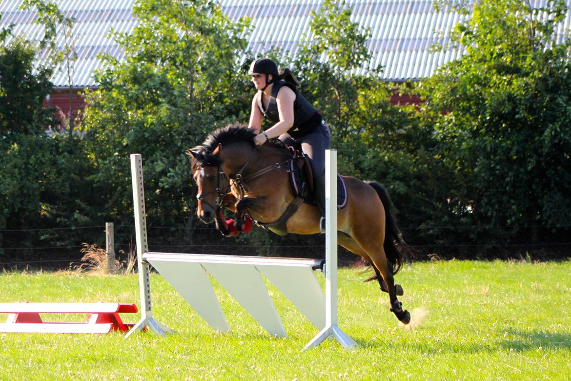 DSP Felex billede 22