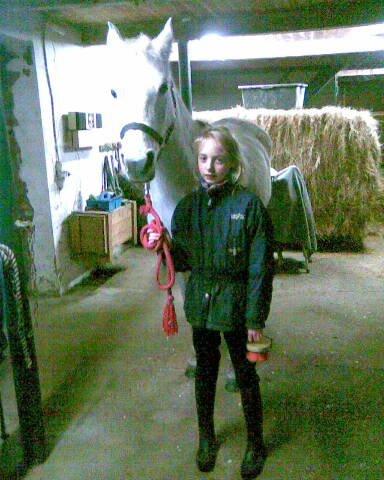 Arabisk fuldblod (OX) Shams Shamilah billede 1